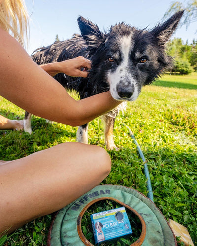 Pet Bar - Natural Dog Shampoo