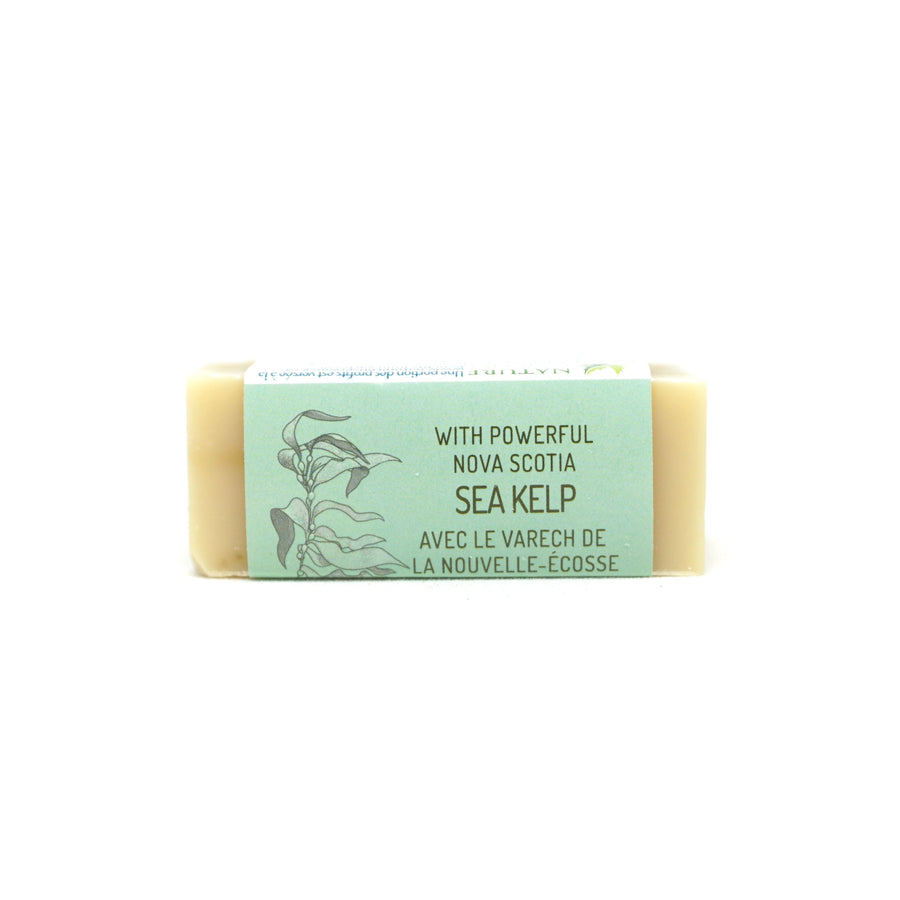 Travel Soap Bar - Fundy Clay & Mint