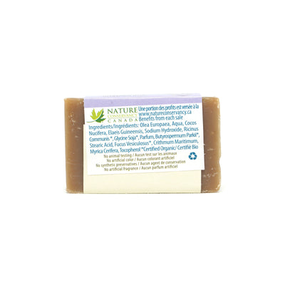 Travel Soap Bar - Sea Fennel and Bayberry